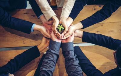 How Can HR Strategy Support Small Business Growth?