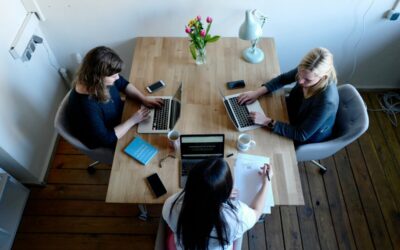 Bridging the Cultural Divide: Strategies for American Companies Expanding into Europe