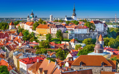 All You Need to Know About HR and Compliance in Estonia